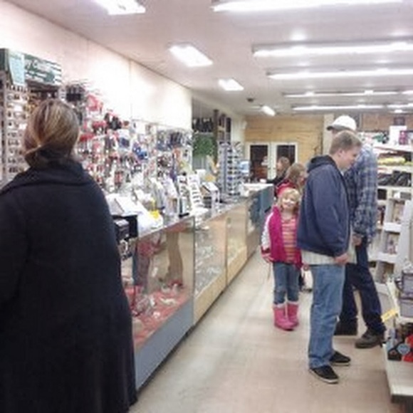 Meet your Posher, Bayley - Picture 1 of 1